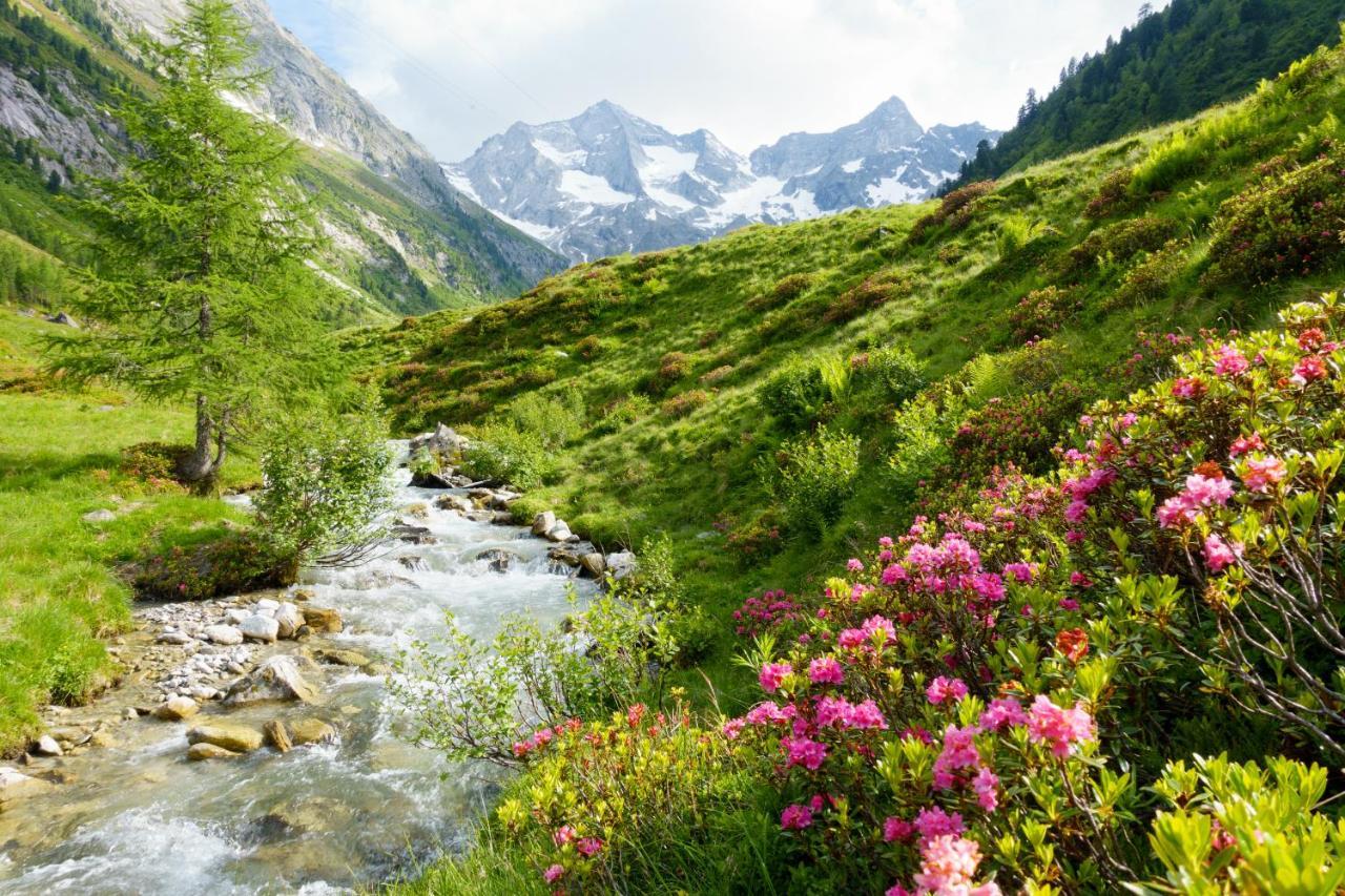 Monas Home Mayrhofen Buitenkant foto